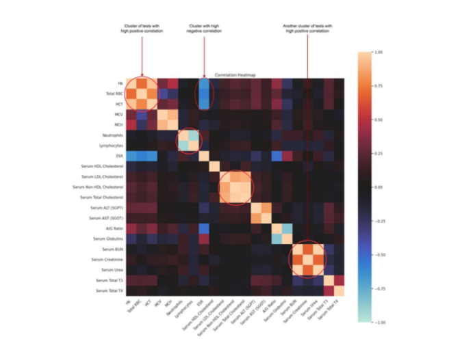 A correlation chart of blood-test variables from the research source.