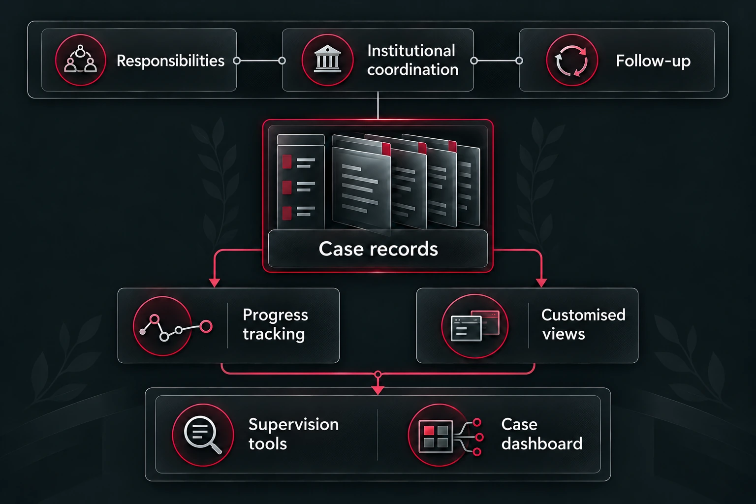 An explanatory case-supervision structure links anonymous record functions with responsibilities, progress tracking, customised views, institutional coordination and follow-up.